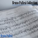 Bruno Pallesi - Eco sul mare