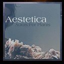 Aestetica - Mist and Dunes