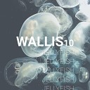WALLIS10 - Into the Ocean