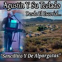 Agustin y su teclado - Pasodobles