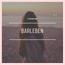 Barleben - octagon