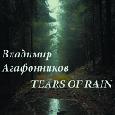 Владимир Агафонников - Tears of rain
