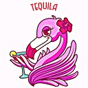 Dj McNally - Tequila