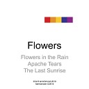 Ian Richmond - Flowers in the Rain