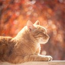 Music for Resting Cats Music For Cats Calm Music for… - Soothing Winds