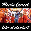 Florin Cercel - Tobe si clarinet