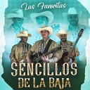 SENCILLOS DE LA BAJA - El Gato en la Oscuridad Live