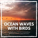 Ocean Waves - Tropical Island Beach