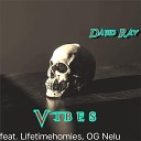 David Ray feat Lifetimehomies OG Nelu - Vibes