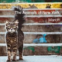 The Animals of New York - Self Portrait