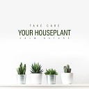 Zen Soothing Sounds of Nature - Calm Pathway Houseplant for a Walk Day