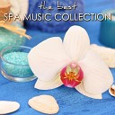 Spa Music Unlimited - Feel Better