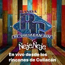 Banda Rc de Culiac n Sinaloa - El huizache En Vivo