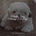 Music for Dogs Collective Music For Dogs Dog… - Sleepy Head