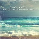 Sebastian Riegl - Captivating Summer Waves Crashing Ambience Pt…