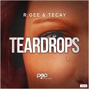 DJ R Gee TeCay - Teardrops Silver Nikan Remix