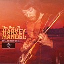 Harvey Mandel - Love Of Life