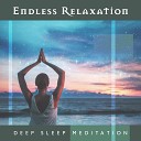 Deep Sleep Music Academy - Feel the Silence