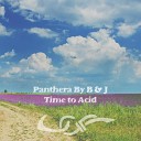 Panthera By B J - Time To Acid Part 1