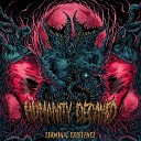 Humanity Decayed - Choking on the Ashes