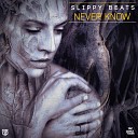 Slippy Beats - Never Know Radio Edit
