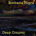 Sorbaria Nigra - My Melody Single Edit