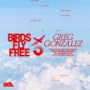 Greg Gonzalez - Birds Fly Free