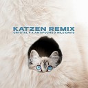 Crystal F Antifuchs Nils Davis - Katzen Remix