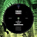 The Magic Track - Disco Croco