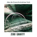 Alex de Grassi Andrew York - Zero Gravity