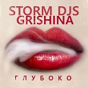 Storm DJs Grishina - Током по коже