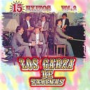 Los Garza De Sabinas - Ando Penando