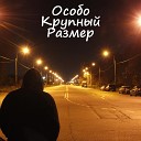 Особо Крупный Размер - Висит на мне статья