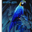 M1 Mc MC DSM feat Teka prod - Arara Azul