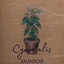 cymortalis - Radio on the windowsill