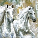 S O B DK - White Horses