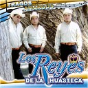 Los Reyes De La Huasteca - Tragos Amargos