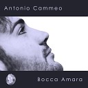 Antonio Cammeo - Vita