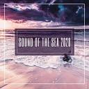 Seashore Waves - Beach Sounds