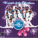 La Original Banda Serenata Huasteca - mentirosa