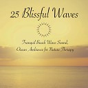 Seashore Waves - Zen Moment