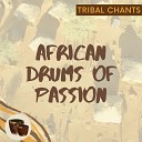 African Tribal Drums - Temple of the Mind
