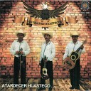 Trio Gavilanes Huastecos - la pasion