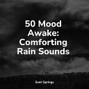Rain Drops for Sleep Ready Baby Music Baby Sleep Lullaby… - Rain Light Forest