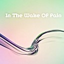 Dj Radtke - In The Wake Of Pain