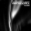 Ambient Light Orchestra - Live Forever