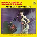 Orquesta Riverside - Tierra Querida