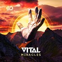 Vital feat MC Shakez - Miracles