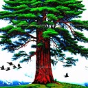 Sequoia termite - Под плоть