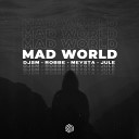 DJSM Robbe MEYSTA feat Jule - Mad World